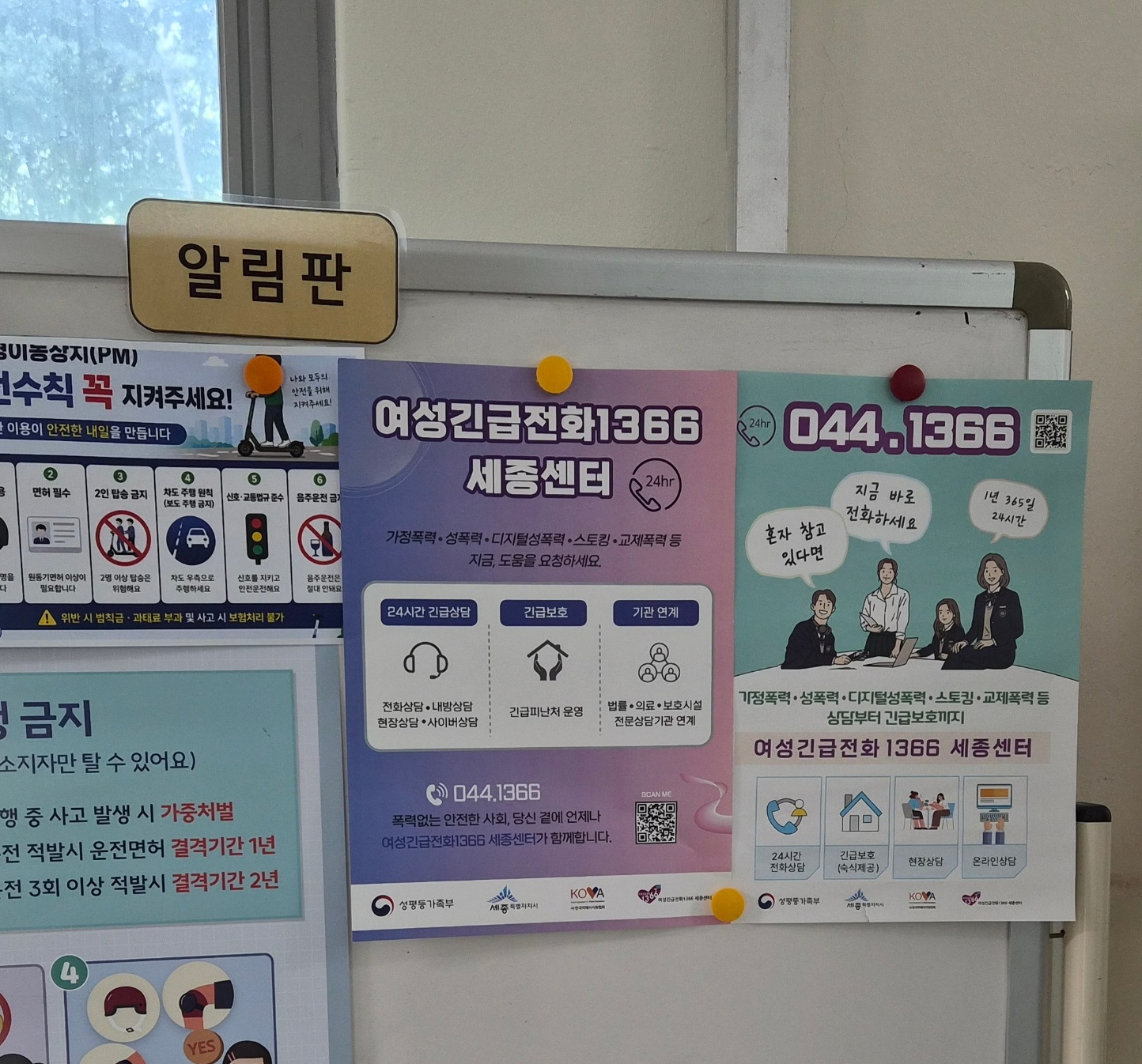 [홍보] 7월 4주차 홍보활동